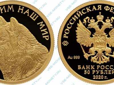 Юбилейная золотая монета 50 рублей 2020 года «Полярный волк» серии «Сохраним наш мир»