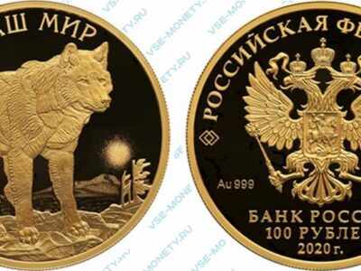 Юбилейная золотая монета 100 рублей 2020 года «Полярный волк» серии «Сохраним наш мир»